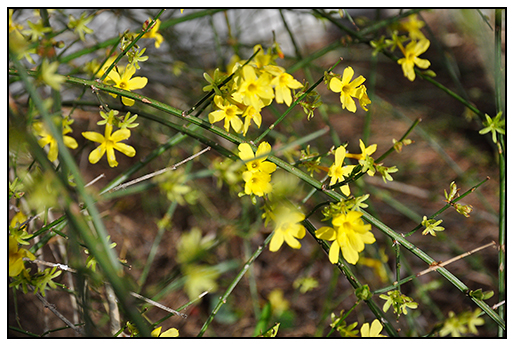 Catalogue Of Organisms In A Bunch In A Bunch