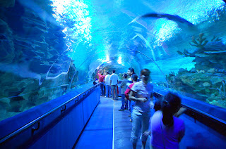 Aquaria KLCC Aquaria KLCC