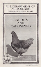 Capons & Caponizing <br> (1932)