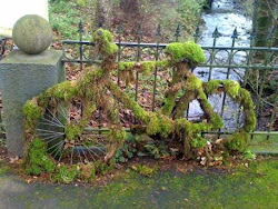 LA NATURALEZA SE ABRE PASO