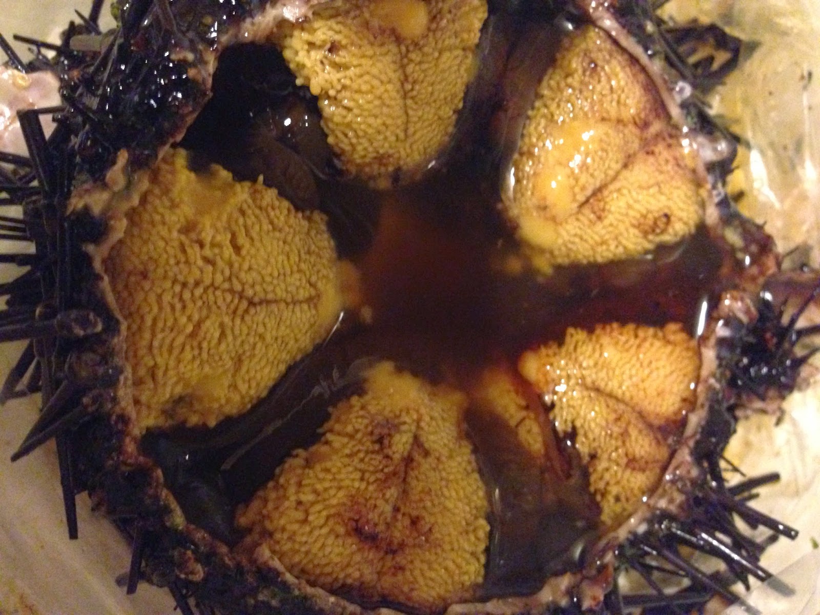 Ghetto Fab Gourmet How to Prepare Live Sea Urchin