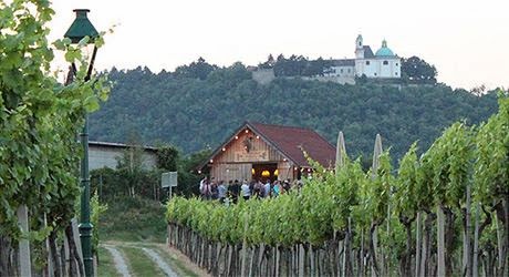 News And Other Tips Auf Zum Heurigen Zum Wieninger Am