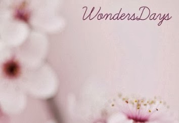 WondersDays