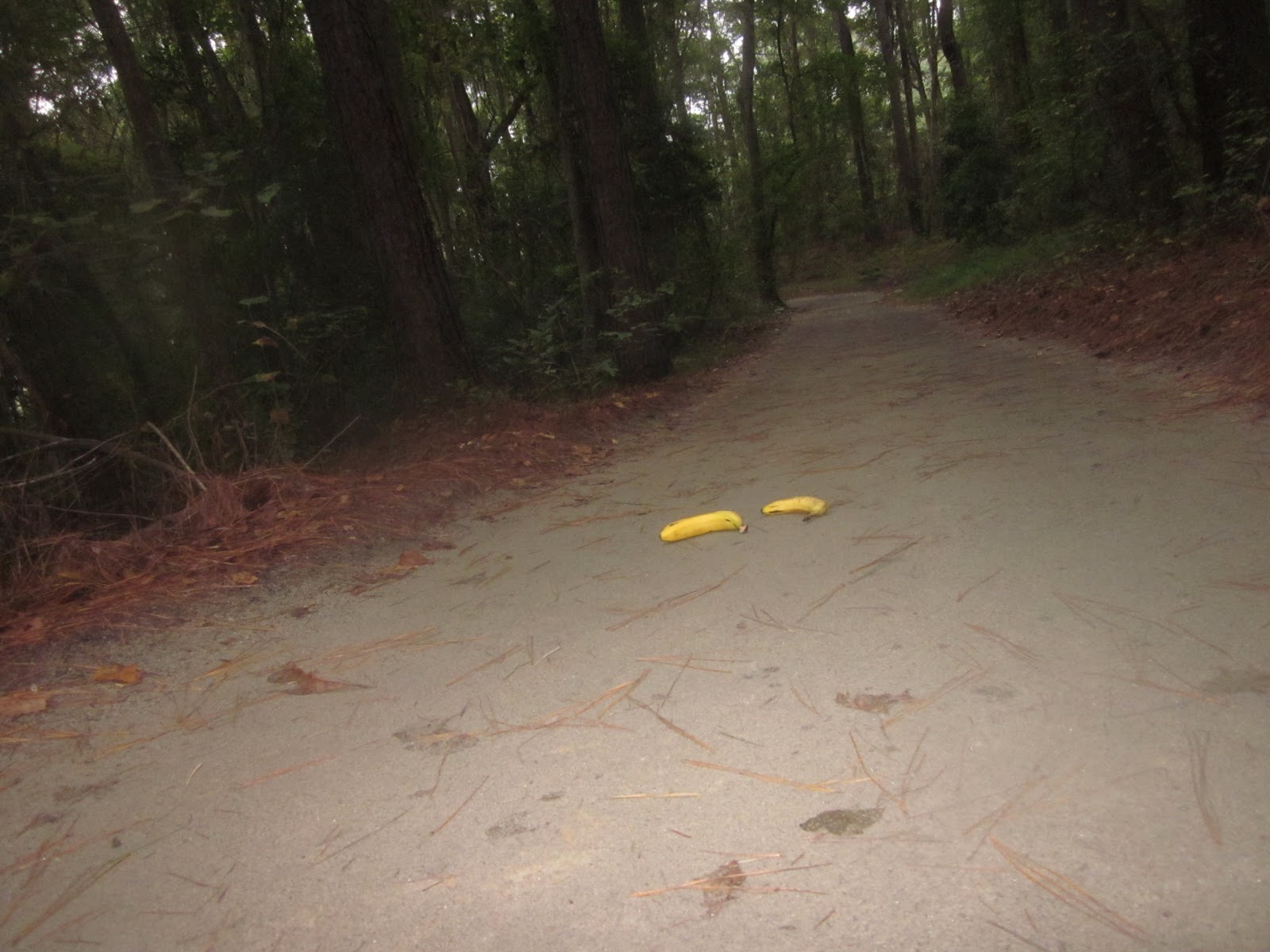 So Far From Normal The Awesomeness of Hinson Lake Ultra Classic 24