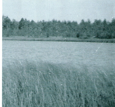 Leppijärveä 1950-luvun aluilla