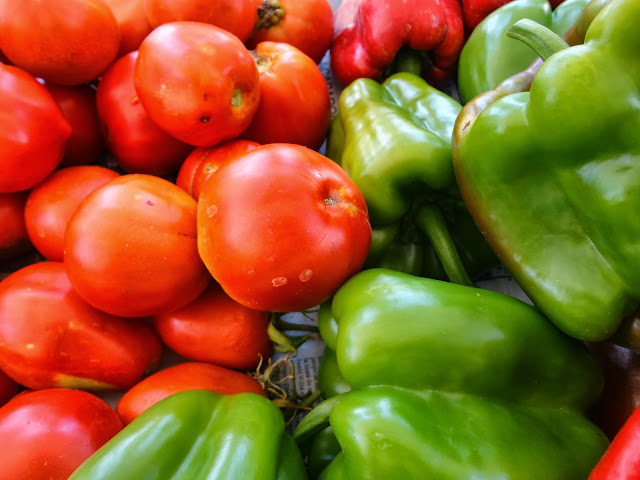 COSECHA DE TOMATES DE ENSALADA