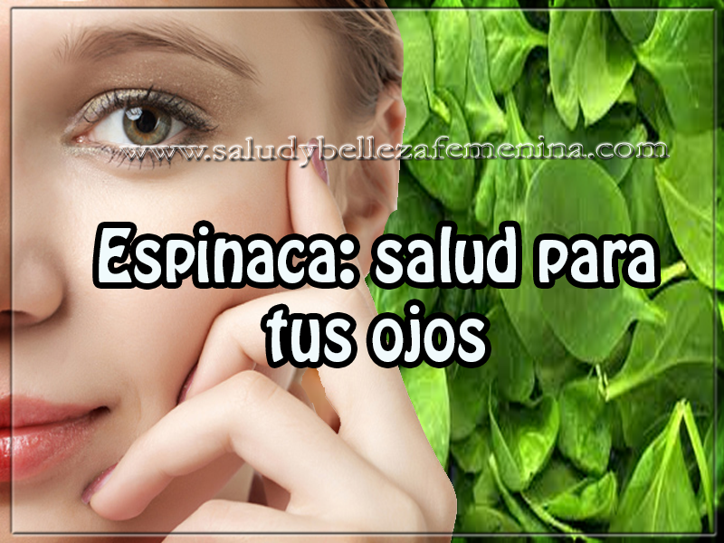 Espinaca: salud para tus ojos Salud y bienestar, remedios naturales , espinaca: salud para tus ojos