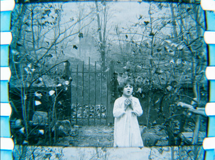 Risultati immagini per falling leaves film 1912