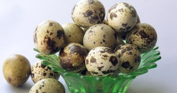 How to live a healthy life: HEALTH BENEFIT OF QUAIL EGG