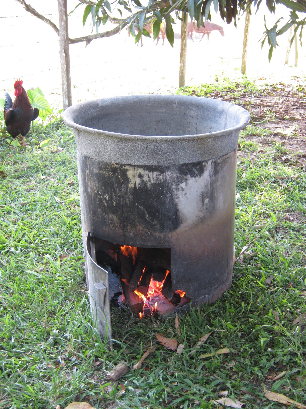 Pioneer Home Making sugar cane syrup, the oldfashioned way