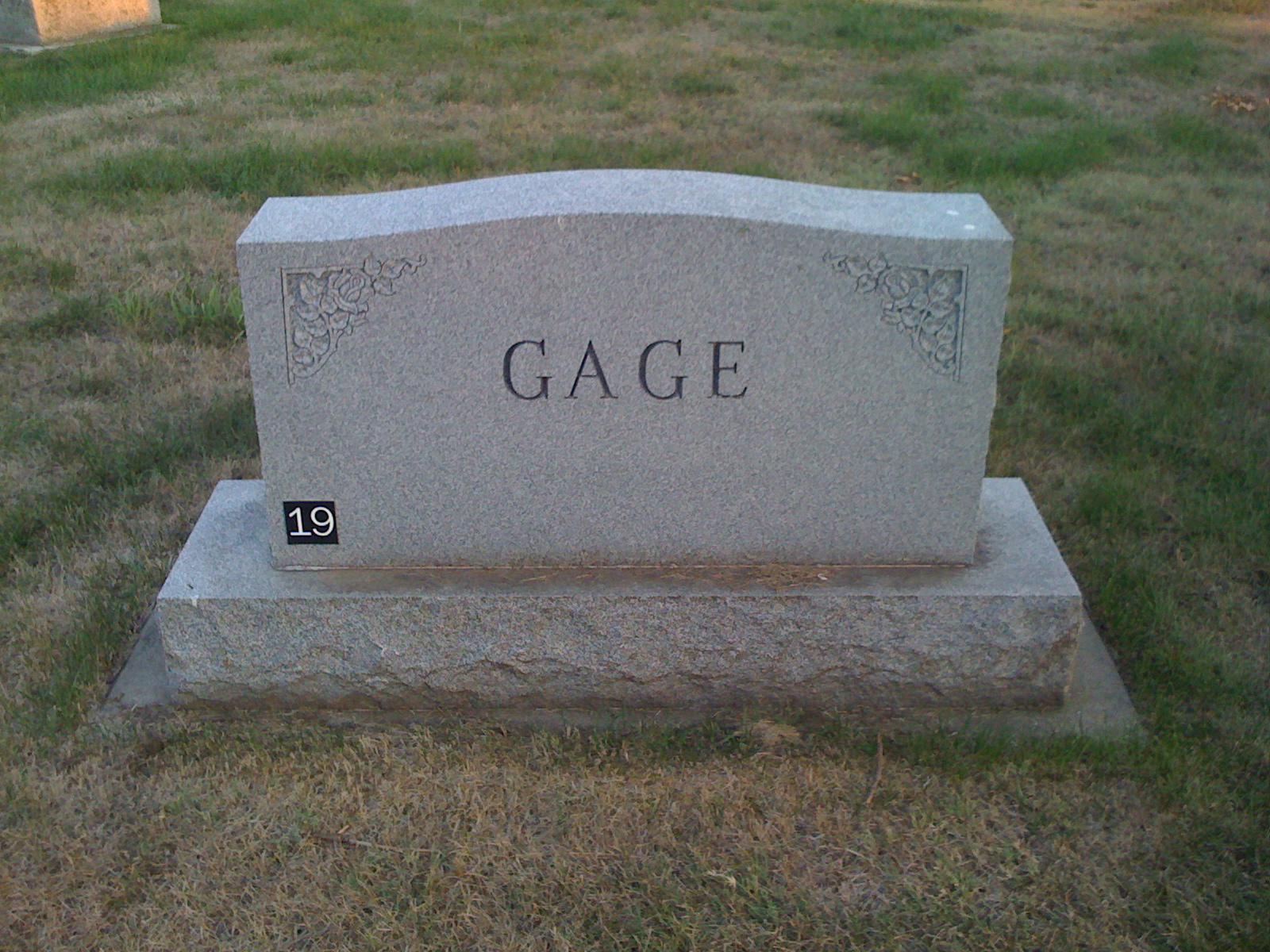 Hungry Tiger Talk Gage Graves