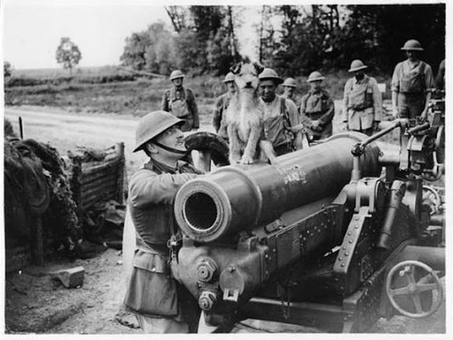 [Imagem: amazing_moments_in_history_36.jpg]