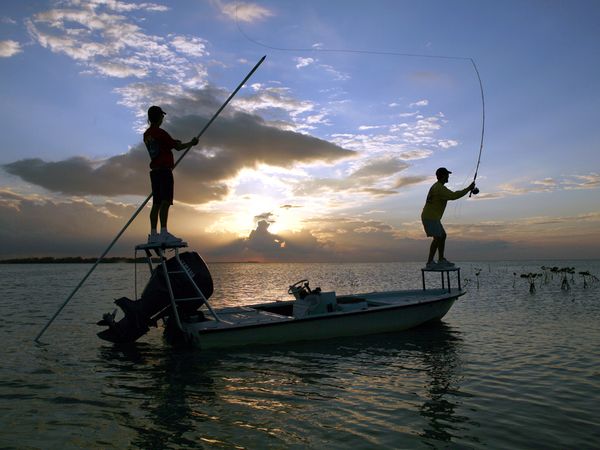 Florida Memory • Boston Red Sox baseball player Ted Williams fishing in  Sarasota, Florida.