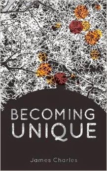 the becoming book review the becoming book review