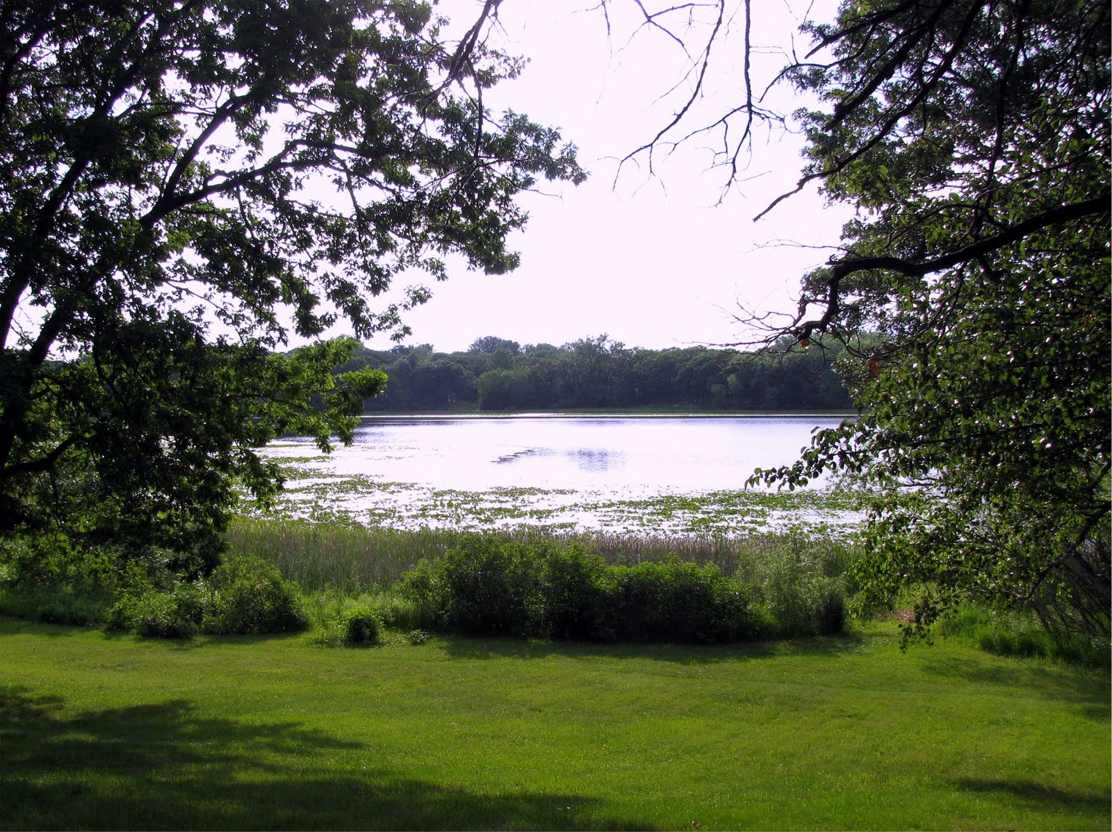 Minnesota Lakeshore Dreams Come True! Lake Homes ARE Affordable!
