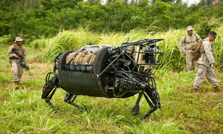 ls3_mastiff_at_awe_hawaii.jpg