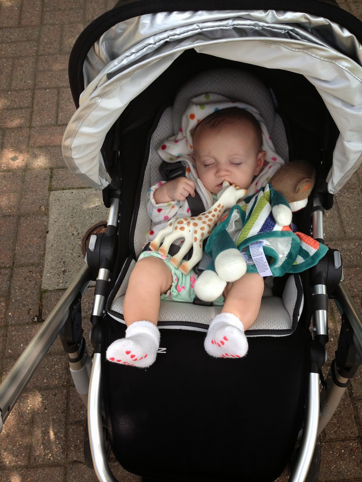 This Way to Baby Keeping Up With The Momses Stroller Edition