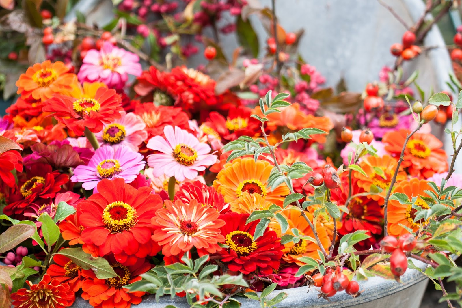 Markte Und Events Creadiva Schenken Und Geniessen