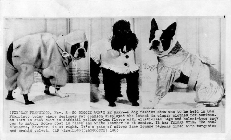 Vintage Doggy Vintage Dog Fashions from 1963