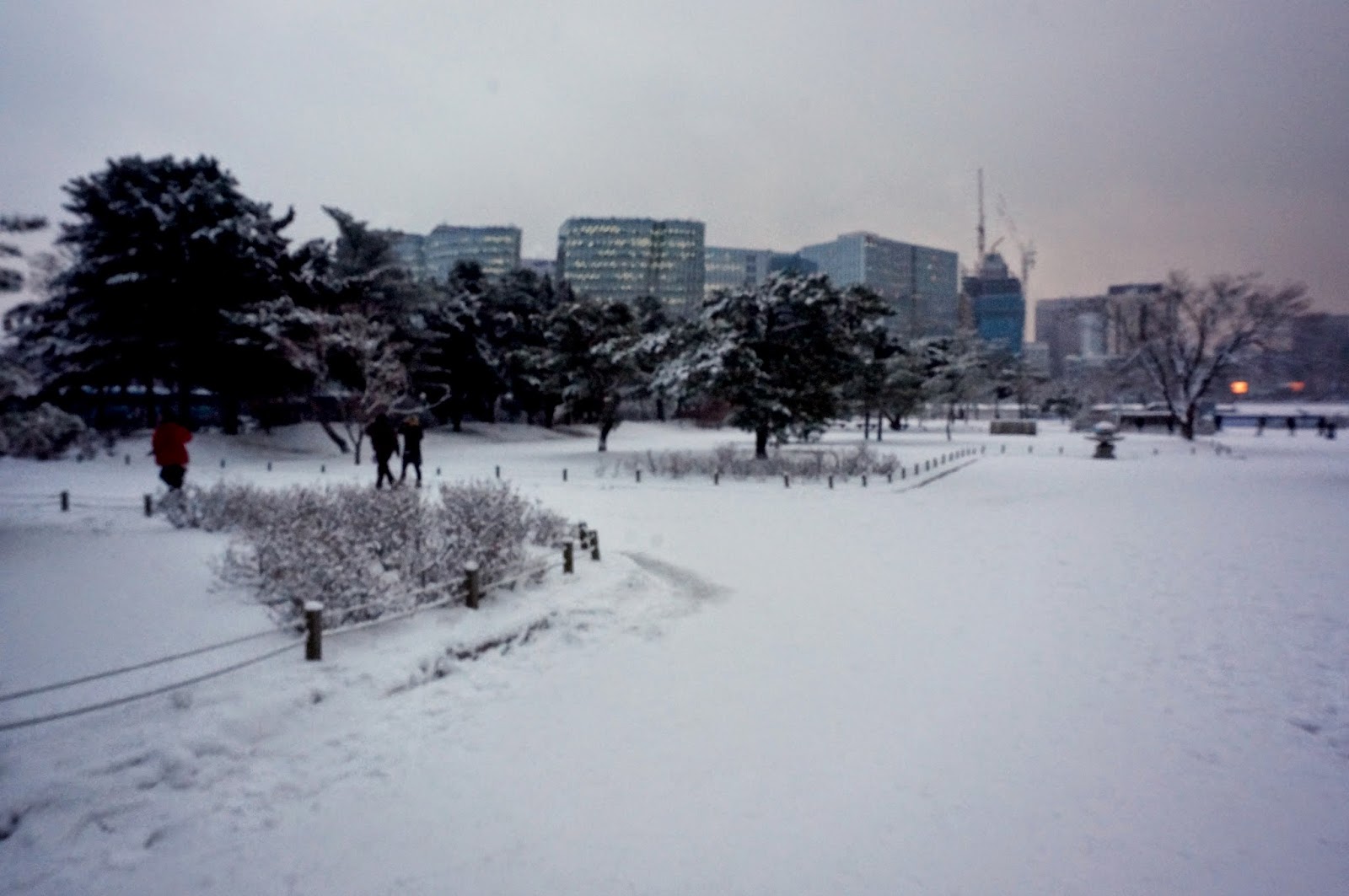 Day 5 Snowing in Seoul