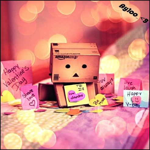 Danbo Photography on Happy Valentines Day Year 2012 Great Photos And Artwork   Ideaswu Blog