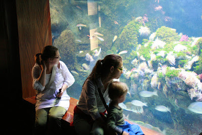 aquarium san sebastian
