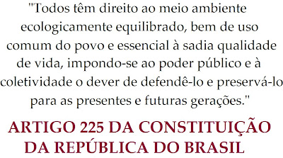 O novo Código Florestal é inconstitucional. O poder público tem o dever de preservar o meio ambiente!
