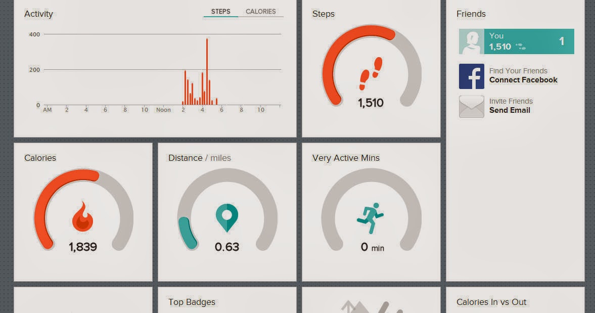 FitBit Flex Activity Tracker Review First Time Mom and Losing It