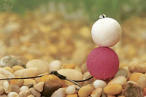 Mồi bột Boilie là gì? Mồi bột Boilie là gì?