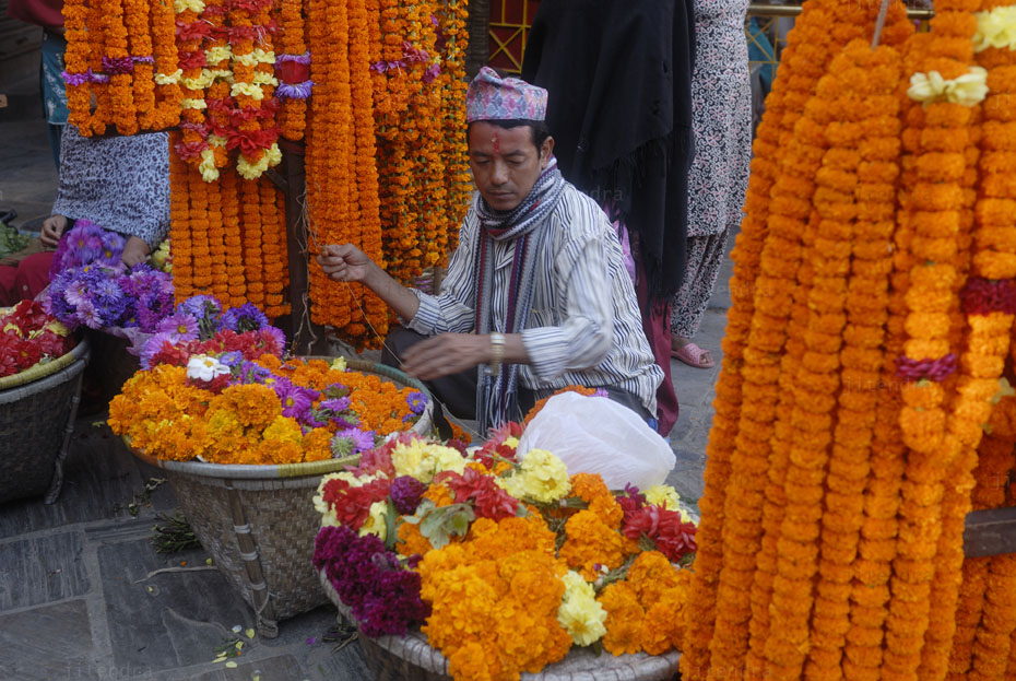 Jiten's world Season of Marigold Tihar Festival