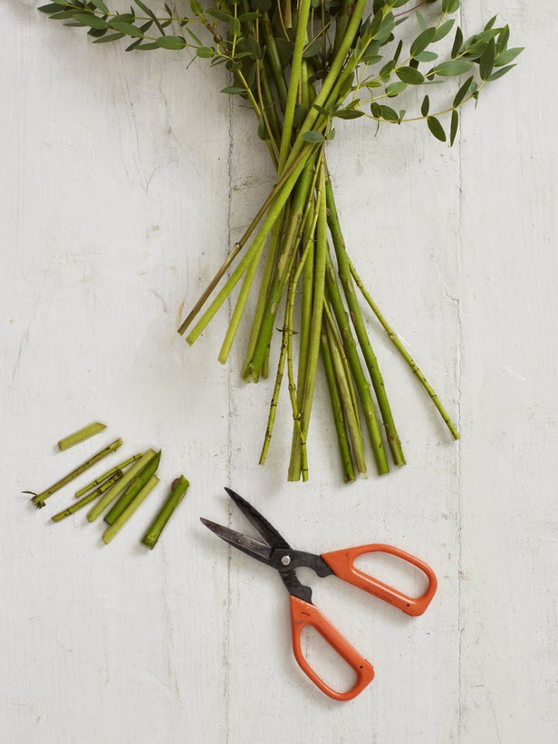 All About Women's Things The Cut Flowers, Tips and Tricks For Them to