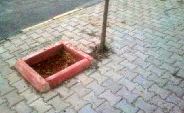 Mancăciosul Temporal De Mici Dorel Loveste Din Nou Exact Vineri