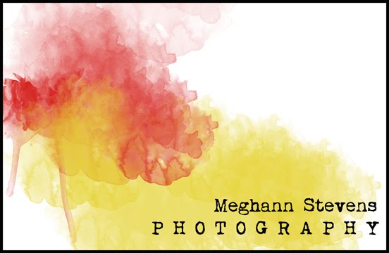 Meghann Stevens Photography
