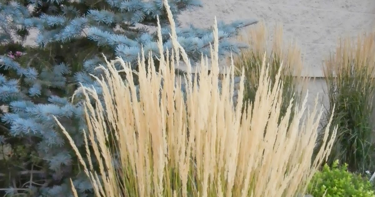 "Echoes of Eden" Dayle King Searle