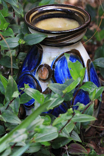 Kähler Vase and Tradescantia fluminensis
