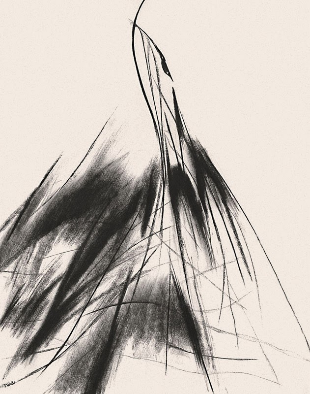 fashion drawings with charcoal :: Behance