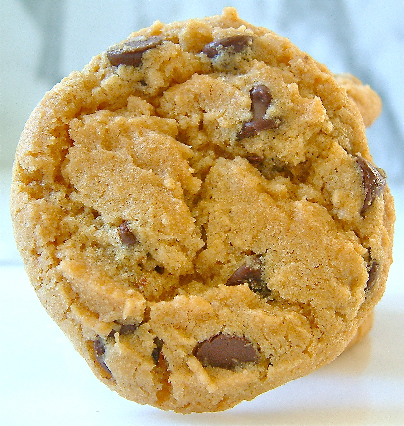 My Recession Kitchen...and garden: Coconut Palm Sugar