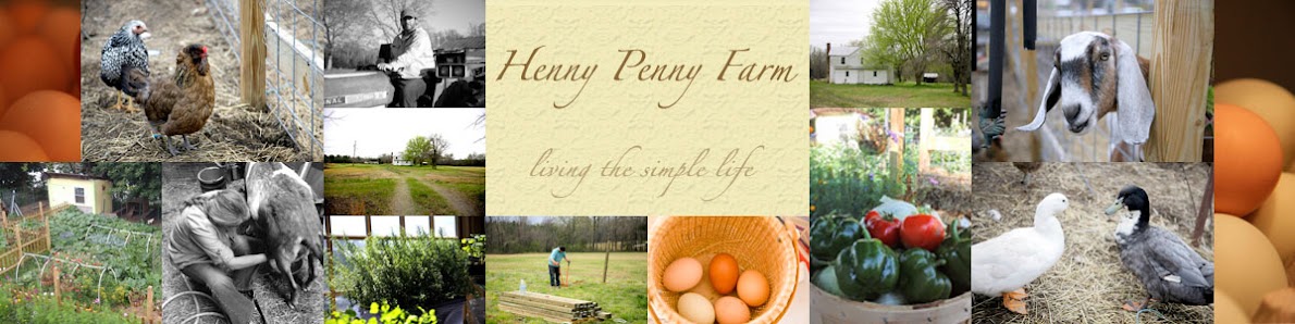 Henny Penny Farm