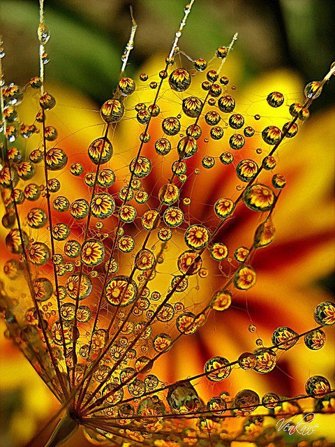 Samsung Mobile Wallpapers: samsung galaxy grand wallpapers