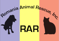 Romania Animal Rescue