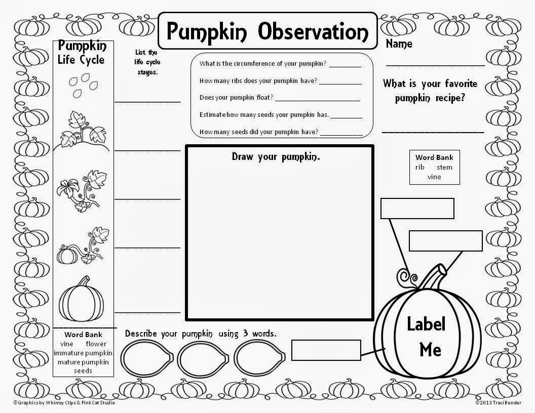 The Bender Bunch: Pumpkin Observation Freebie