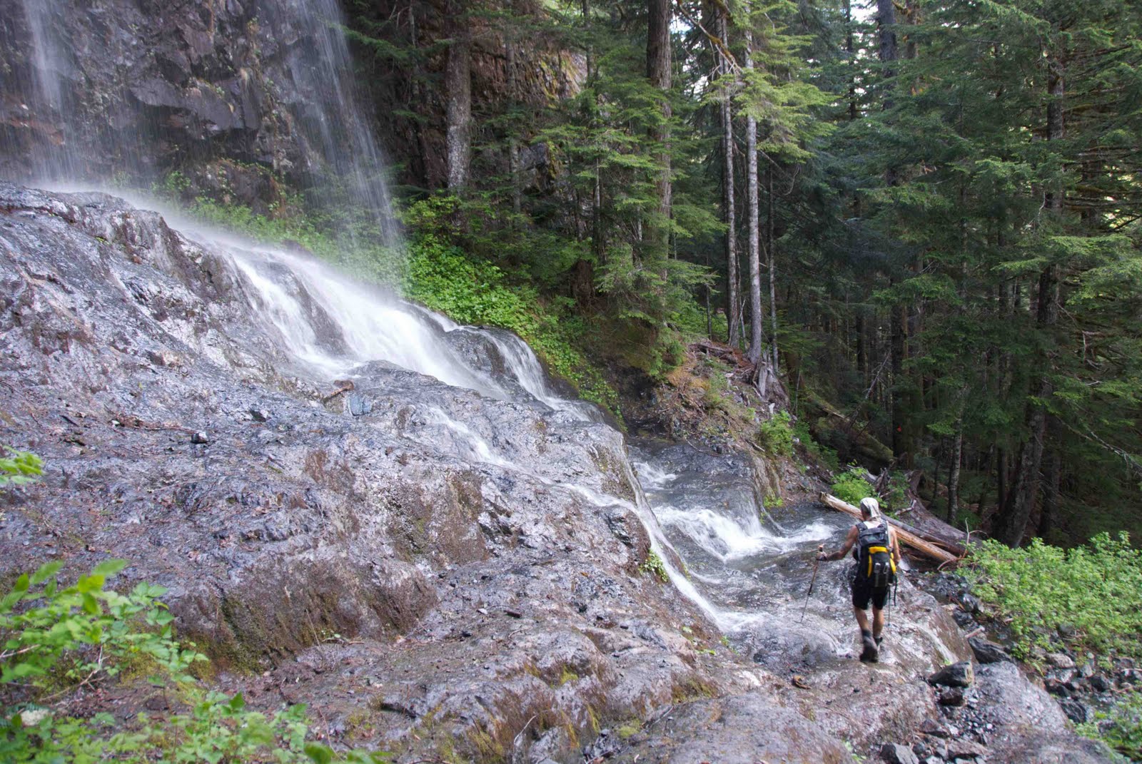 Rambler Peak Vancouver Island Hike Rambler Peak Vancouver Island Hike