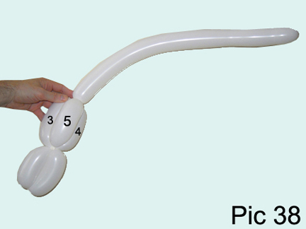 Balloon Animals Twisting Instructions How To Make Balloon Cat