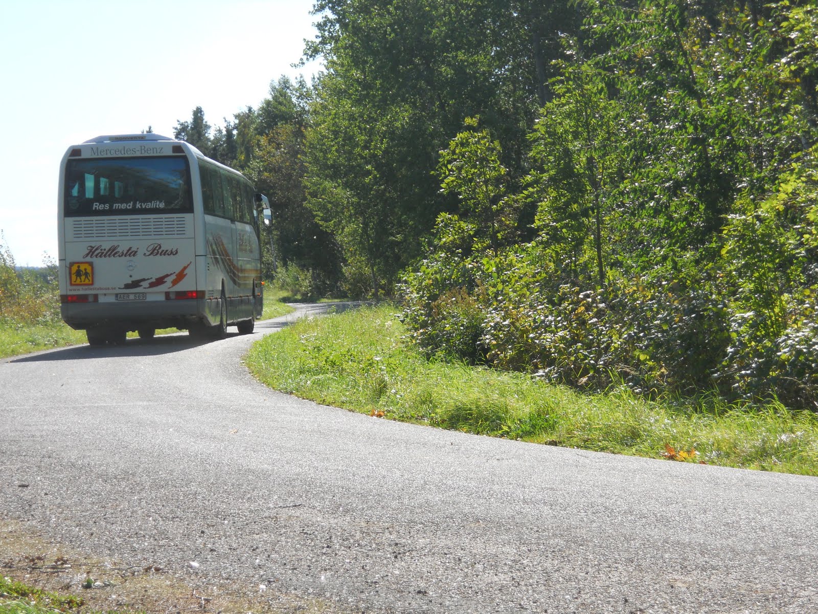 Vittorp: staket?