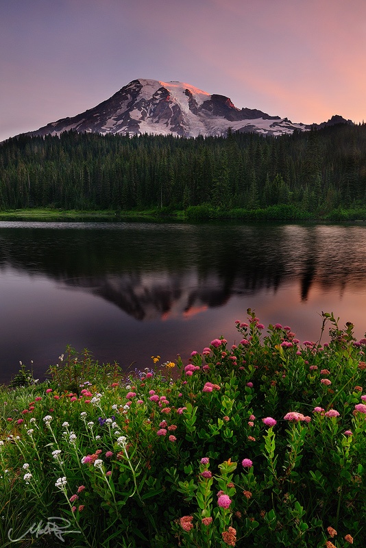 Wallpapers | Images | Picpile: beautiful morning scenery photos