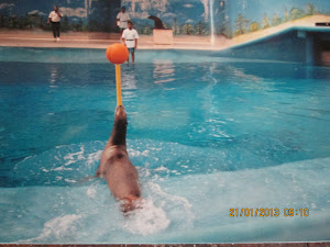 "DOLPHIN CITY" in Chennai.(2-6-2001)