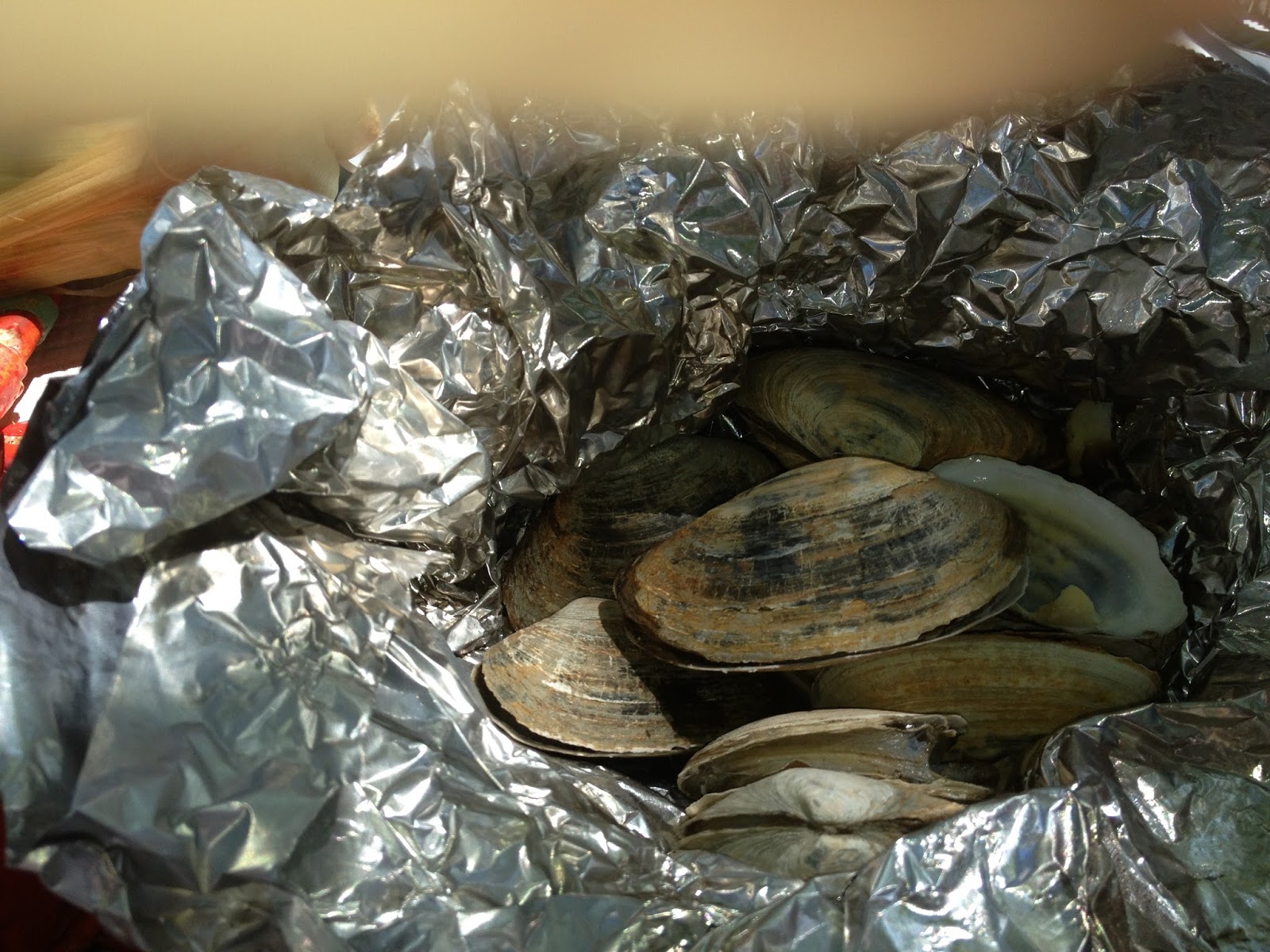 Go with the Gilmore's Cabbage Island Lobster and Clam Bake