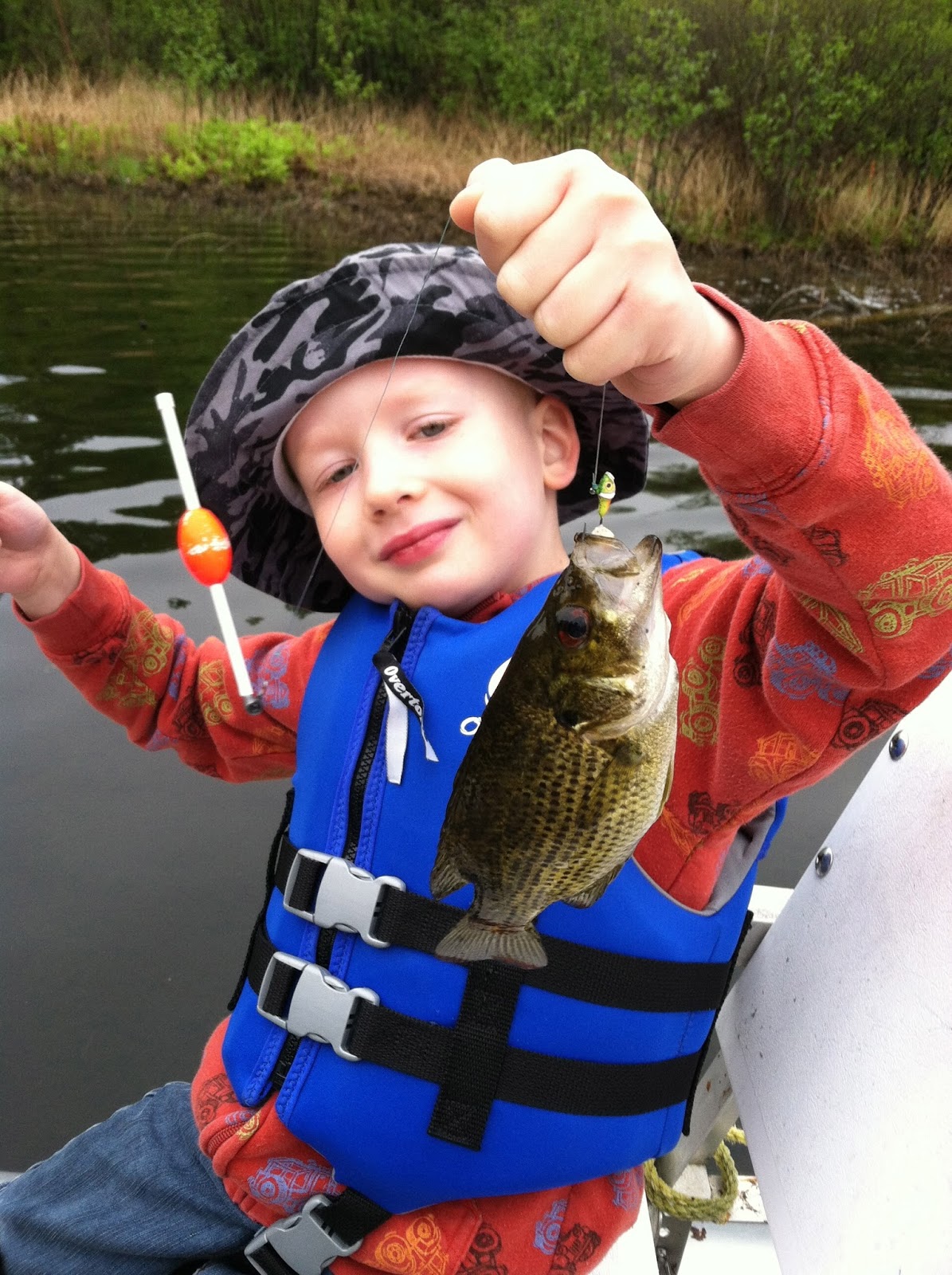 bluegills on a fly rod My Very Best Fishing Buddy