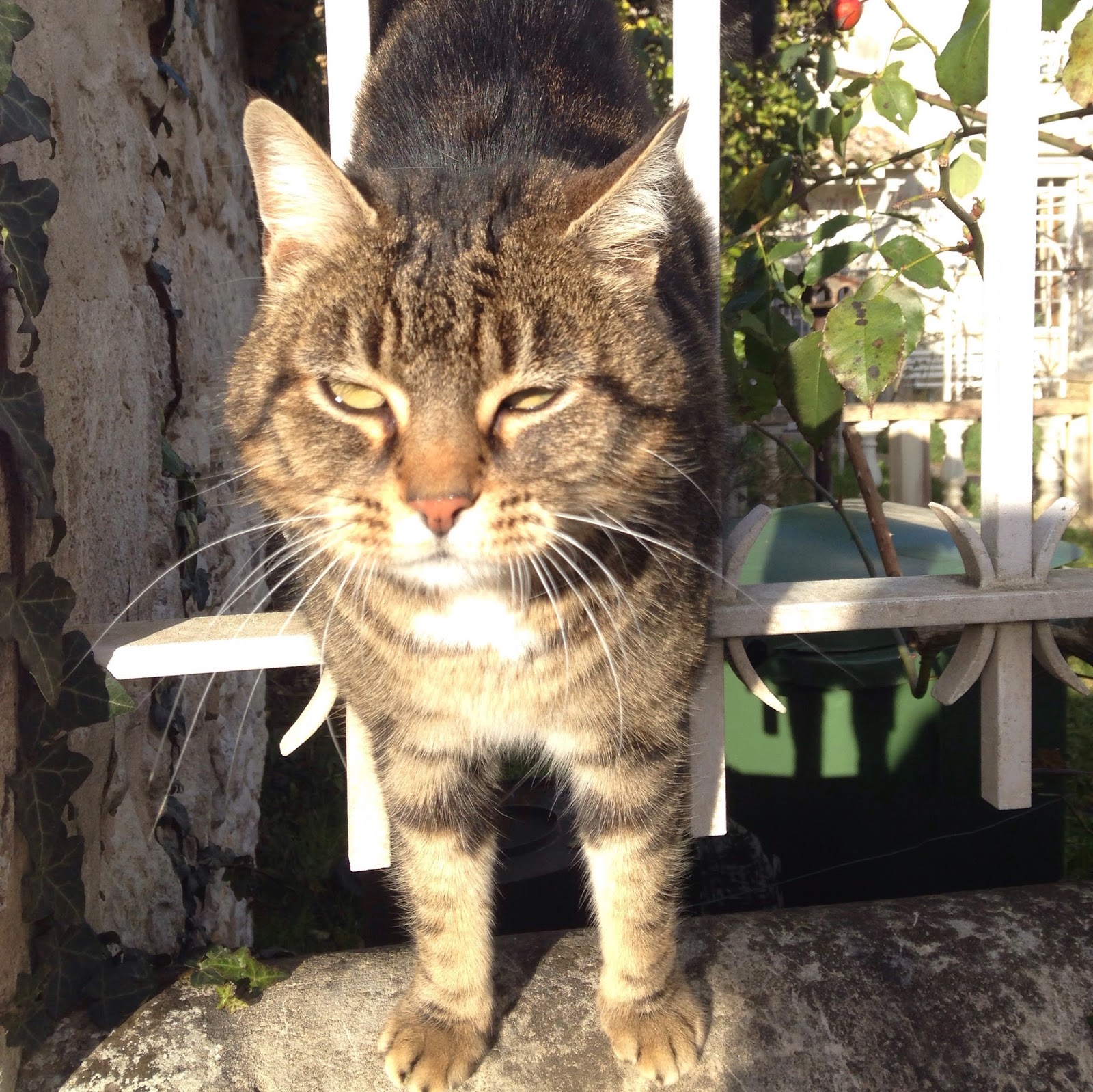 plage rencontre gironde