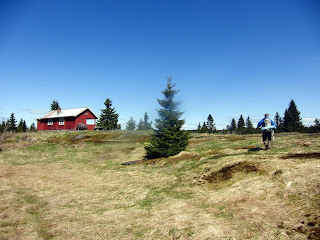 Nordseter, Krokskogen